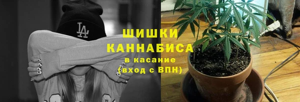 гидра Армянск