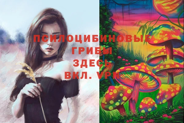 герыч Аркадак