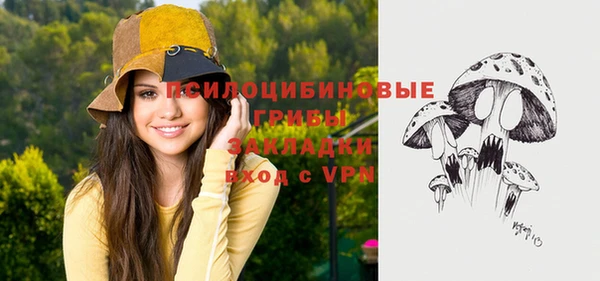 гидра Армянск