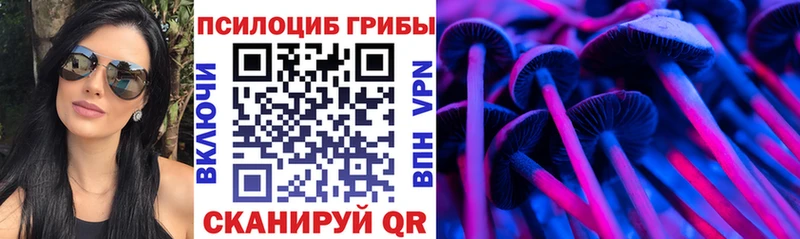 блэк спрут ссылки  Городище  Псилоцибиновые грибы GOLDEN TEACHER  хочу  